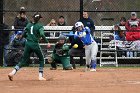 Softball vs Babson  Wheaton College Softball vs Babson College. - Photo by Keith Nordstrom : Wheaton, Softball, Babson, NEWMAC